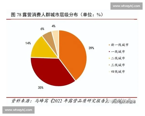 全球体育职业联赛商业竞争格局与青年人才培养创新趋势发展分析